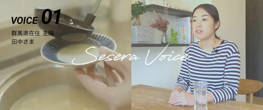 Sesera Voice 01, pengguna rumah tangga di Gunma
